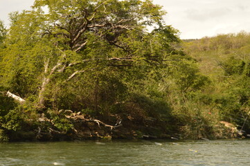 Sailing on the river through the stunning Sumidero Canyon in Chiapas, Mexico