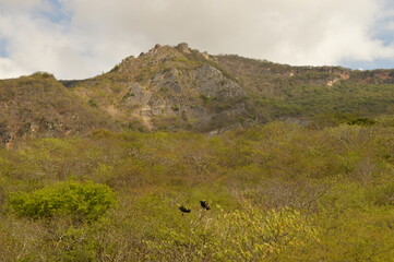 The steep and beautiful Sumidero Canyon in Chiapas, Mexico