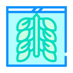 oyster farming color icon vector flat illustration