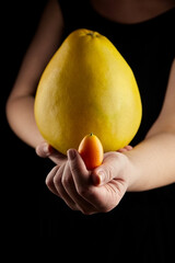 Kumquat and pomelo fresh citrus fruits in female hands on black background