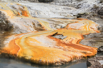 A silica terrace formed by hot water from a geothermal area. The colorful orange steaks are...