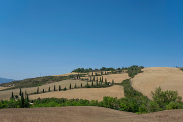 Travel in Tuscany. Beautiful and idyllic landscape of a lane of cypresses in the Tuscan countryside in Italy