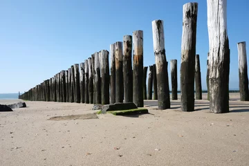 Muurstickers Wooden Posts of a beach erosion protection system along the beach at the town of Vlissingen in Zeeland Province in the Netherlands © Tjeerd