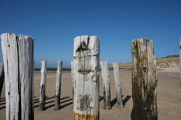 Wooden Posts of a beach erosion protection system along the beach at the town of Vlissingen in Zeeland Province in the Netherlands