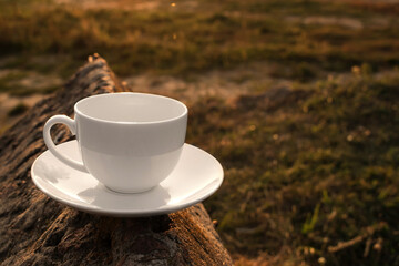 empty white cup stands on a rough stone surface at sunset in sunlight