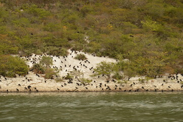 The dramatic and deep Sumidero Canyon in Chiapas, Mexico