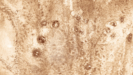 Grunge Canvas.  Abstract Cream Background.