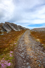 Steiniger Weg über ein Fjell der Finnmark in Norwegen