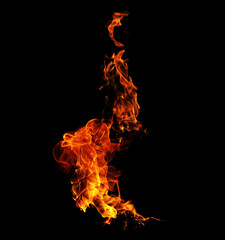 Fototapeta premium Fire flames black background