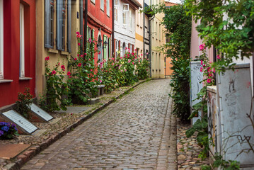 Street with stick roses in the old town