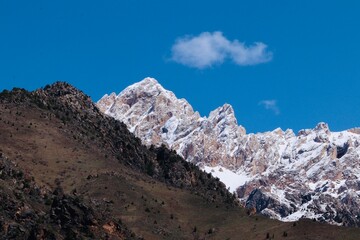 Fototapeta premium landscape with snow