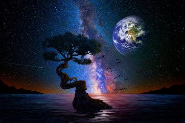 New planet with life from where you can see the Earth