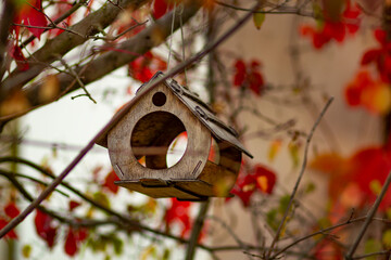 Wooden old bird feeder on the background of branches with loose leaves