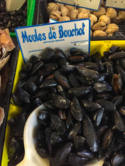 moules de Bouchot, poissonnerie