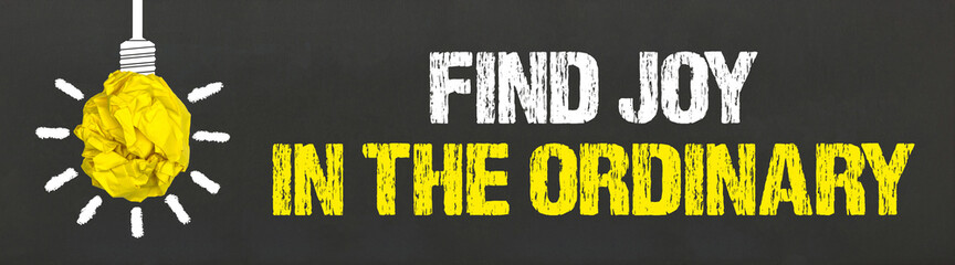 find joy in the ordinary