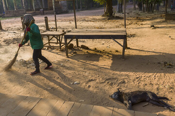 dog and sweeper in the courtyard of Bakong temple, Siem Reap in Cambodia