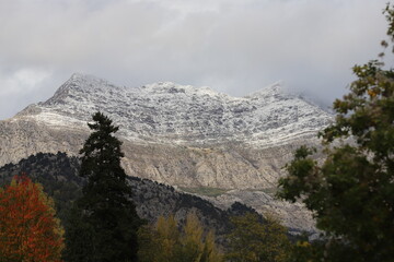 Las Salas. Invierno. León. Castilla y León.