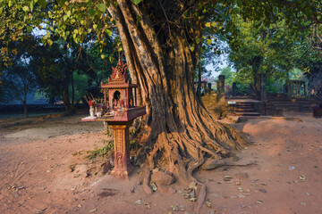 banyan tree and spirit house in the courtyard of the Bakong temple, Siem Reap in Cambodia