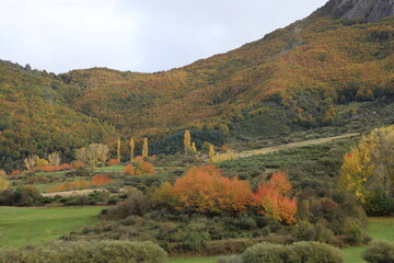 Carande. Le&oacute;n. Castilla y Le&oacute;n.