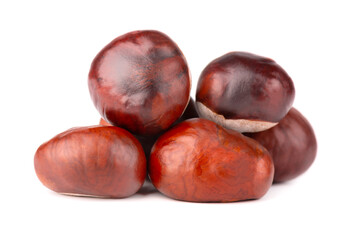 Horse chestnuts fruits, isolated on white background. Aesculus hippocastanum.
