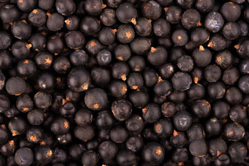 Dry juniper berries background. Common Juniper fruits.