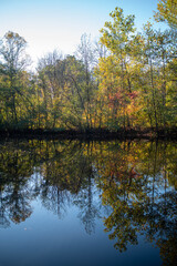 Fototapeta na wymiar Beautiful abstract symmetric reflection of autumn woods in a tranquil lake, with copy space.