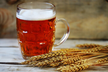 Selective focus. Fresh live wheat beer and ears of wheat. Brewery concept.