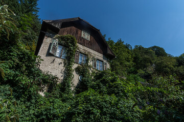 Plakat overgrown old house in the forest with sky