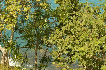 The islands and beaches of the Caribbean paradise on Antigua and Barbuda