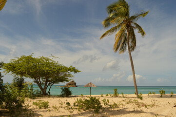 The islands and beaches of the Caribbean paradise on Antigua and Barbuda