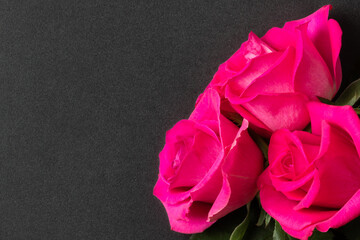 Pink roses on a black background. Flowers close-up with copy space. Valentine's day or birthday concept. Top view