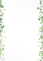 Fototapeta premium Mint Leaves Ecology Vector White Background 