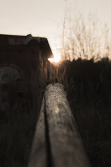 Photo by: Marek Śliwiński Fotografia (https://www.facebook.com/MarekSliwinskiFotografia/)