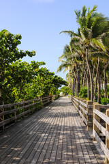 Sommer in Miami Beach