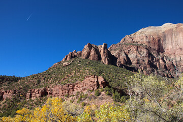 Fototapeta premium Autumn in the Zion National Park, Utah, USA