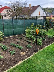 Autumn  garden with spade