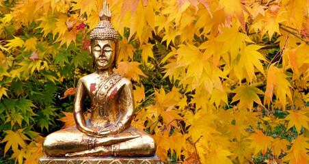 Gold Buddha statue in the autumn