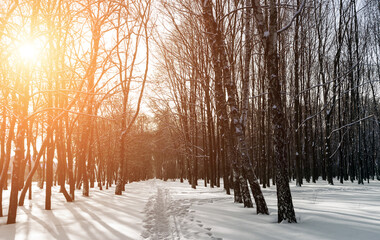 Footprint human in the snow.