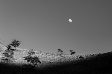 Pôr da Lua ao Amanhecer