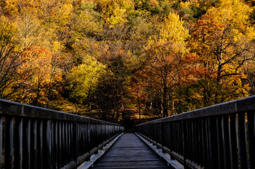 Fototapeta na wymiar An old bridge leading to Autumn Leaves at Sounkyo in Hokkaido, Japan