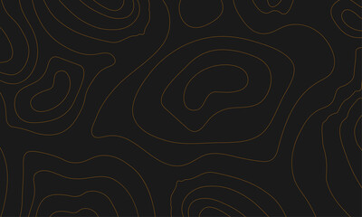 Line of topography. Mountain hiking.Dark topographic map concept with space for your copy. 3D Cartography concept background. Map mockup infographics.World map Template.