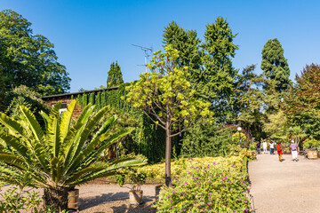 Fototapeta na wymiar Botanischer Garten zu Köln am Rhein