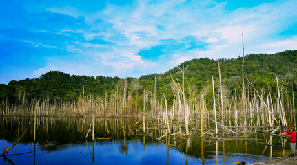 A man fishing in a beautiful lake in Malaysia. Beautiful Blue sky with Dead trees in the forest around a lake..SHAH ALAM,MALAYSIA, 10/10/2020