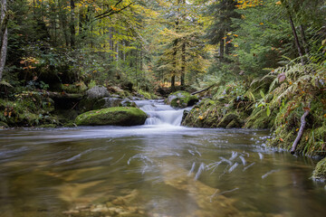 Obraz premium Ruisseau des Vosges en automne