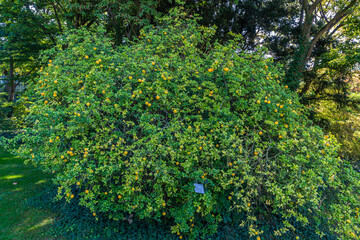 Botanischer Garten zu K&ouml;ln am Rhein