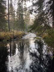river in the woods