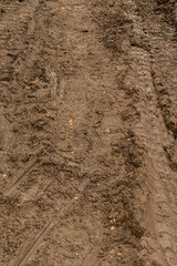 A mud track from a large construction machine, track in soil from an excavator, car, tank or other large machine