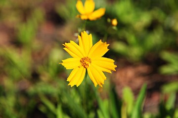 인천시 남동구 인천대공원 입니다