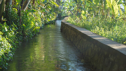 wooden bridge over river