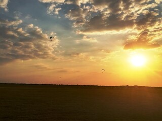 sunset over the field